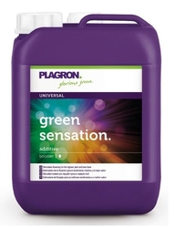 PLAGRON Green Sensation 5