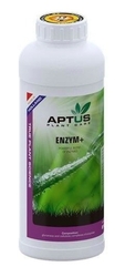 APTUS Enzym+ 1