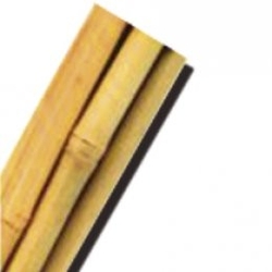 Bambusové podpěrné tyčky délka 90cm,1000ks