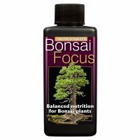 Growth Technology Bonsai Focus 100 ml