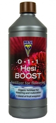 HESI Boost