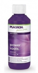 PLAGRON Power roots 0,1