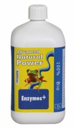 AH Enzymes 1