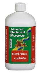 AH Growth/Bloom Excellarator 1