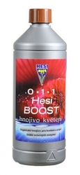 HESI Boost 1