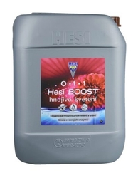 HESI Boost 5