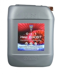 HESI Boost 10