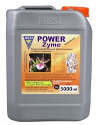 HESI Powerzyme 5