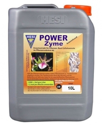 HESI Powerzyme 10