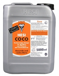 HESI Coco 5