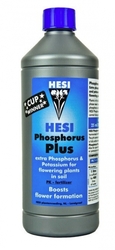 HESI Phosphor Plus 1