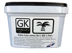 Palm Tree Ash 5