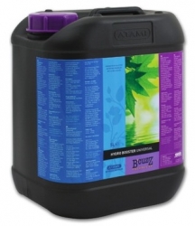 ATAMI B´cuzz Booster Hydro 5