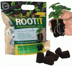 ROOT IT Natural Rooting Sponges- BOX