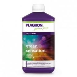 PLAGRON Green Sensation