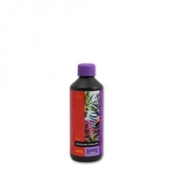 ATAMI B´cuzz Coco Bloom Stimulator 500ml